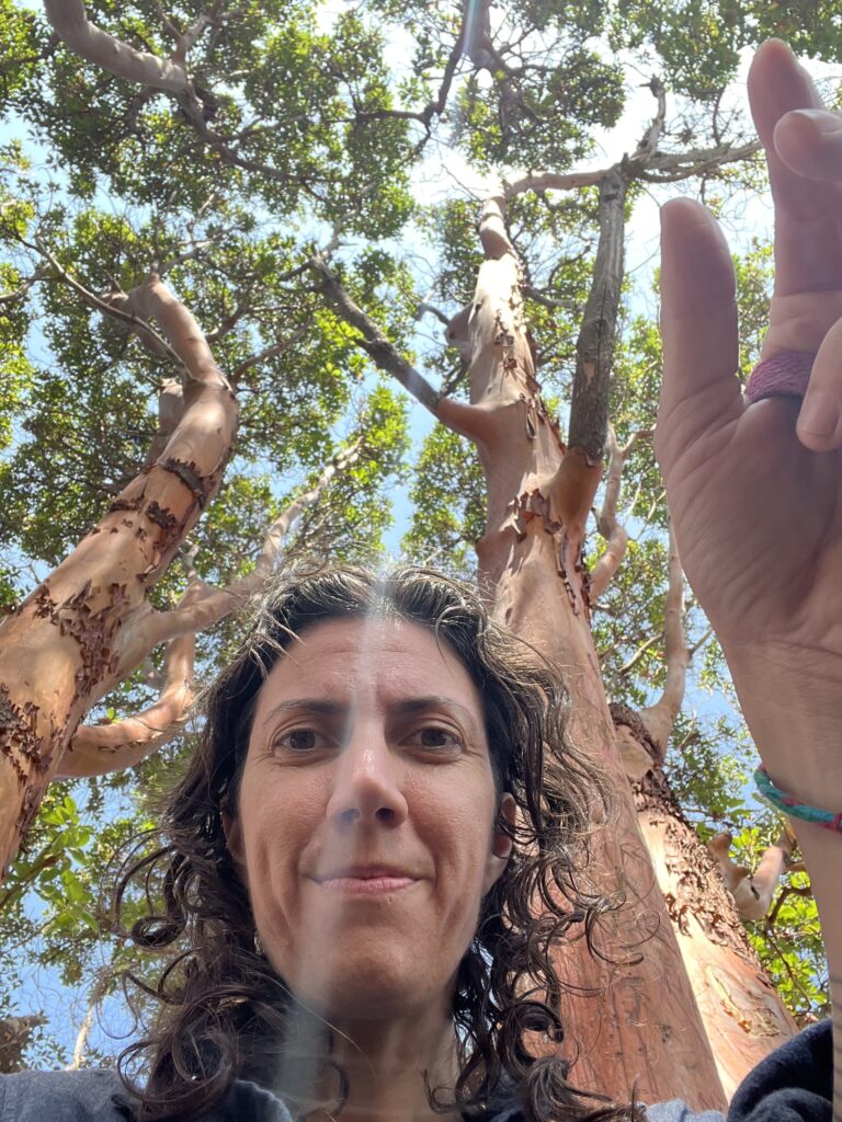 Self Portait of Lynne Piper, camera angled up, with madrone treetops against a blue sky behind them.